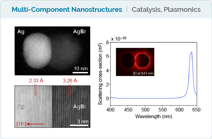 Multi-Component Nanostructures